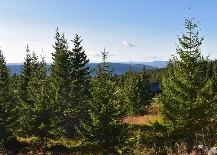 Stunning In With Wifi Øyer